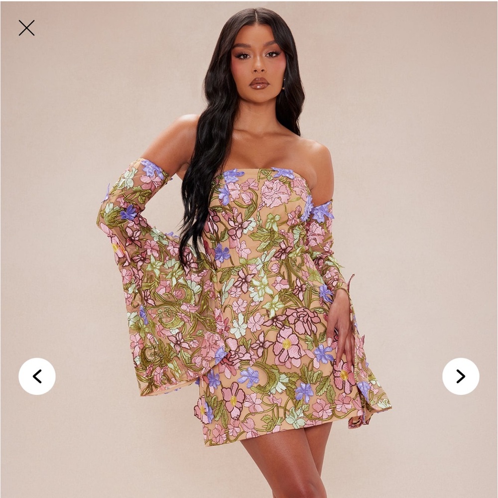 Amanza Embroidered Mini Dress